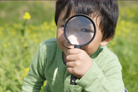Inspection Results